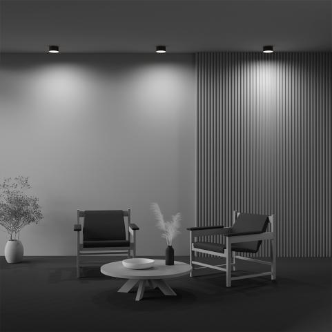 Потолочный светильник Maytoni Technical Ceiling 4000K Zon C032CL-12W4K-RD-B