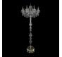 Bohemia Ivele Crystal Торшер Bohemia 1403T1/8/195-160 G