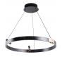 Светильник подвесной Arte Lamp Cesare A1993SP-30BK