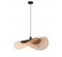Светильник подвесной Arte Lamp Woodstock  A7063SP-1BK
